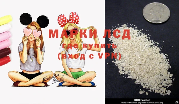 дживик Слюдянка